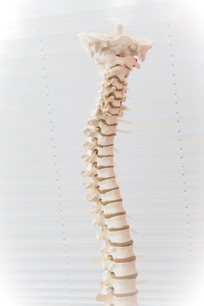 spine, disc, the back, disc prolapse, disease, medicine, bone, heal, clinic, whirl, doctor, back pain, pension, spine, spine, spine, spine, spine, back pain